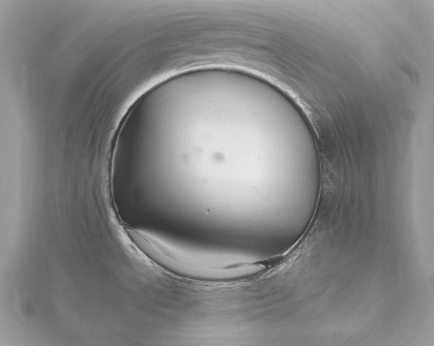 X0000116001534200912031458