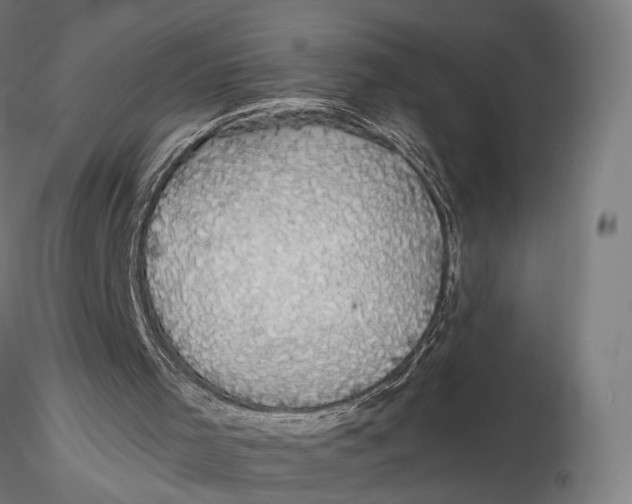 X0000116000001200912101329