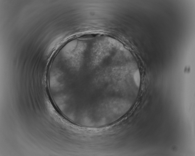 X0000116000002200912101328
