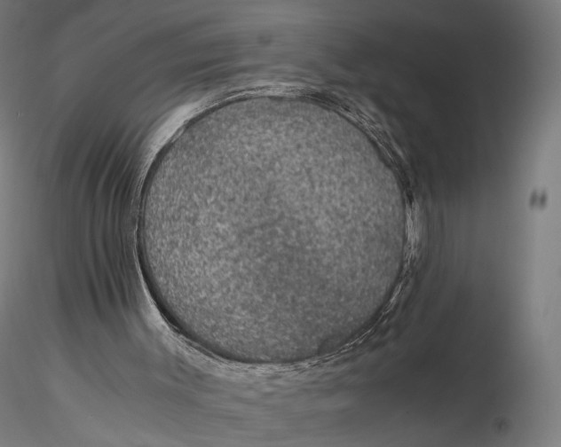 X0000116000003200912101328