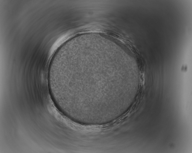 X0000116000004200912101328