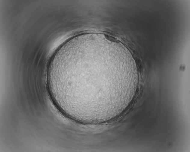 X0000116000005200912101328
