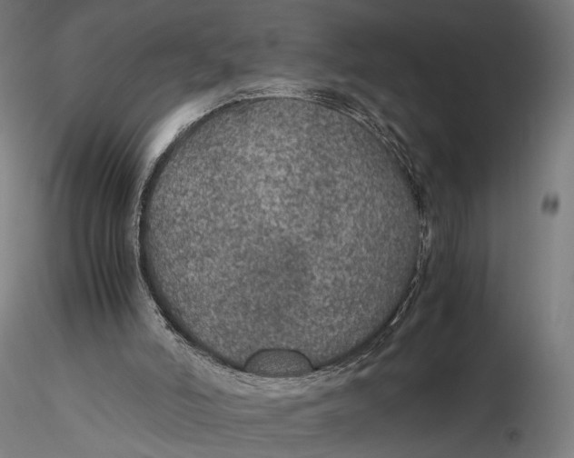 X0000116000006200912101328