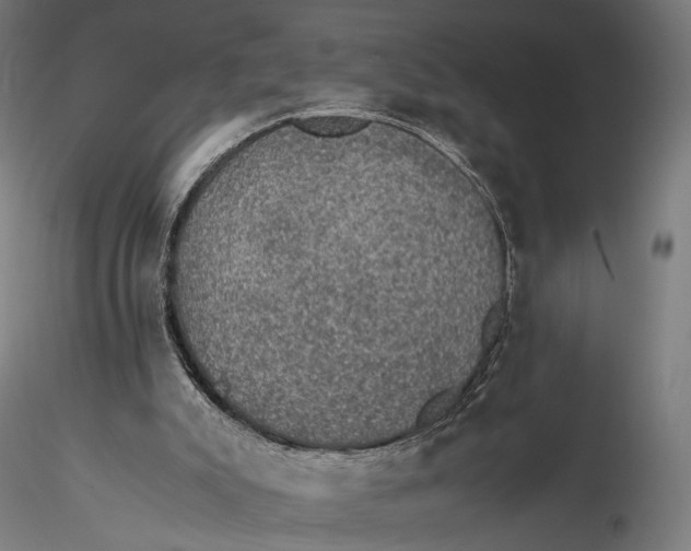 X0000116000007200912101328