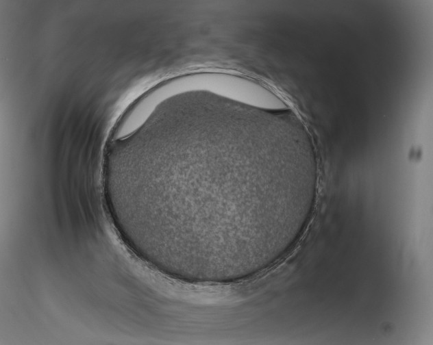 X0000116000008200912101328