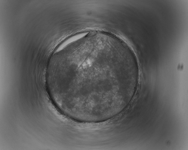 X0000116000009200912101328