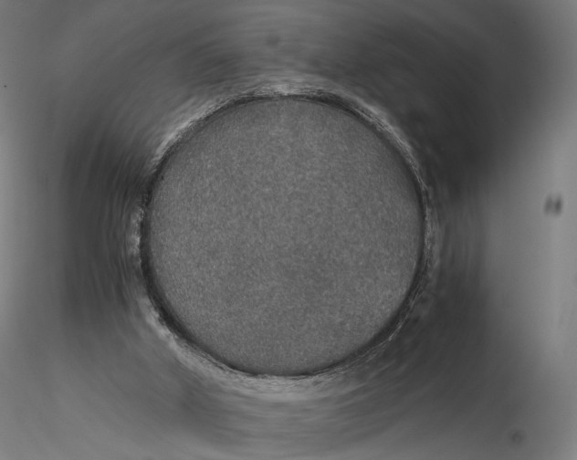 X0000116000010200912101328