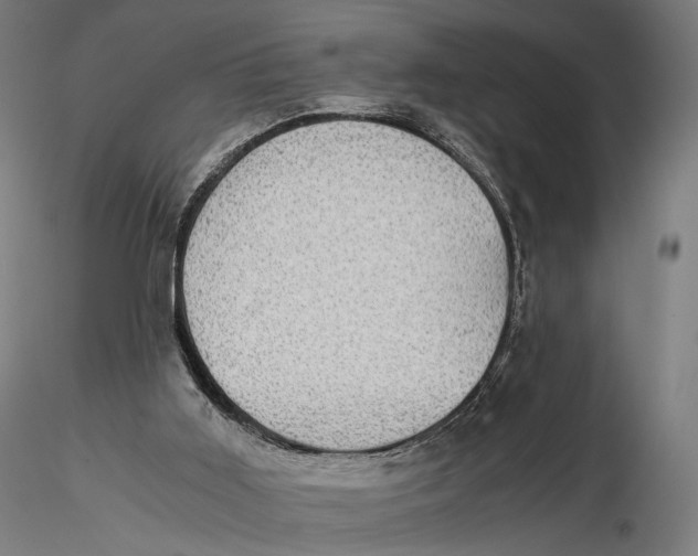 X0000116000011200912101328