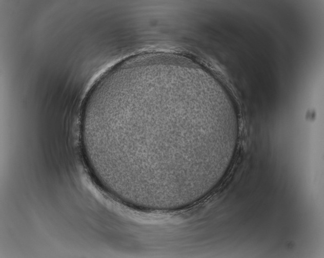 X0000116000012200912101328