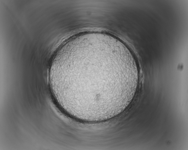 X0000116000013200912101328