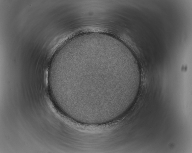 X0000116000014200912101328