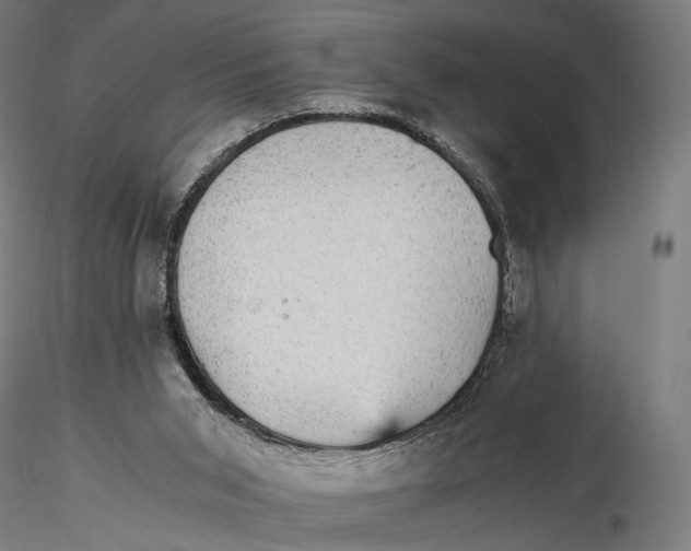 X0000116000015200912101328