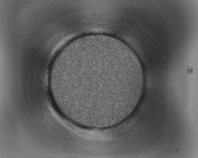 X0000116000016200912101328