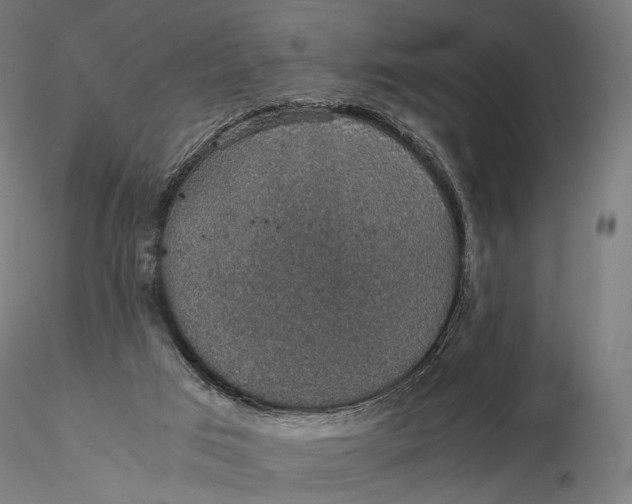 X0000116000017200912101328