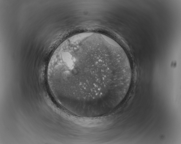 X0000116000018200912101328