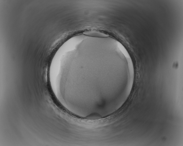 X0000116000019200912101328