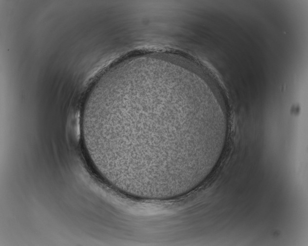 X0000116000020200912101328