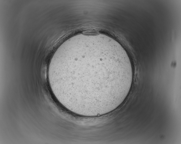 X0000116000021200912101328