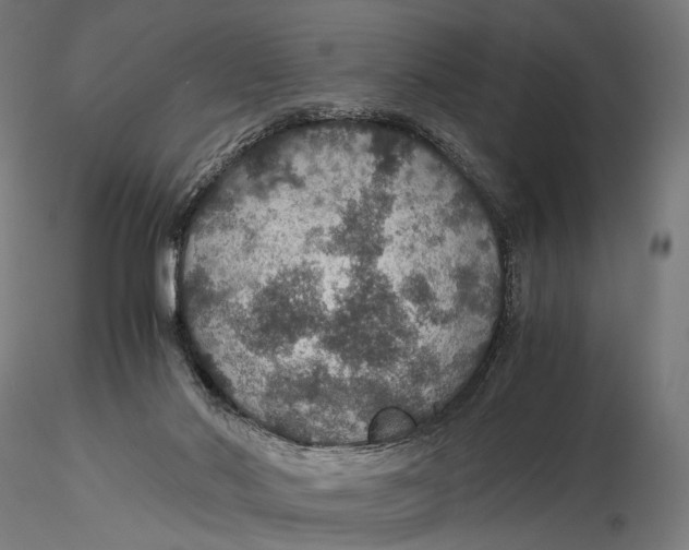 X0000116000022200912101328