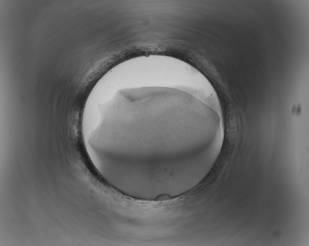 X0000116000023200912101328