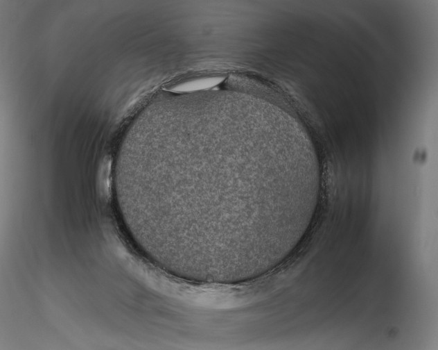 X0000116000024200912101328