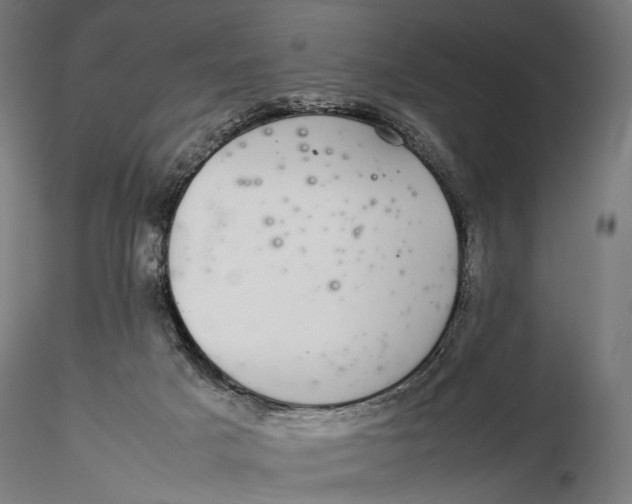 X0000116000025200912101328