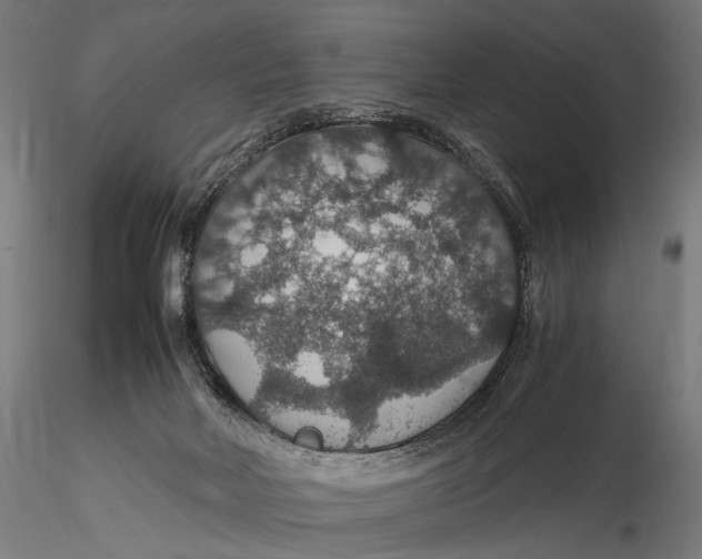 X0000116000026200912101328