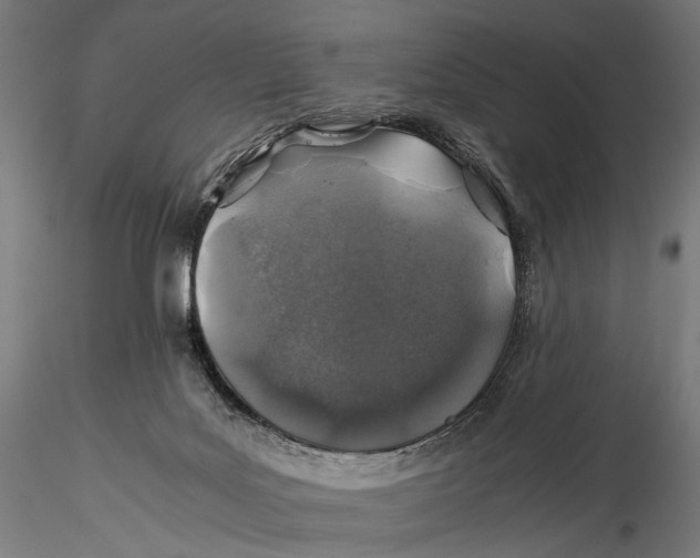 X0000116000027200912101328