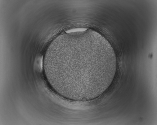 X0000116000028200912101328