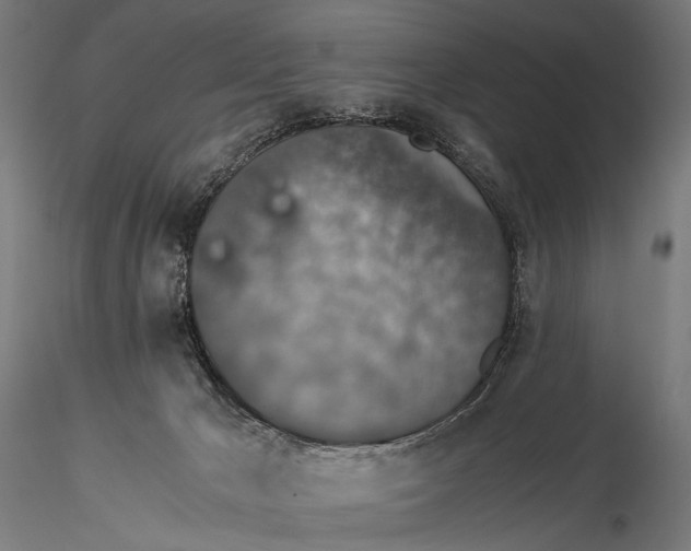 X0000116000029200912101328