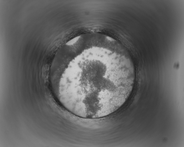 X0000116000030200912101328