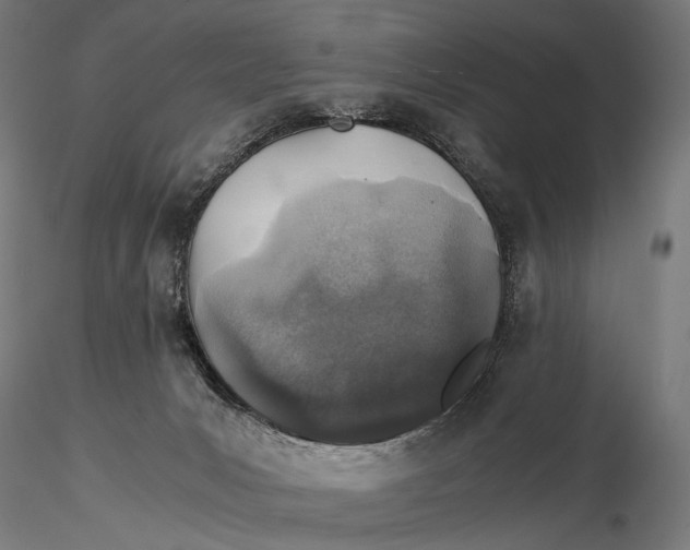 X0000116000031200912101328