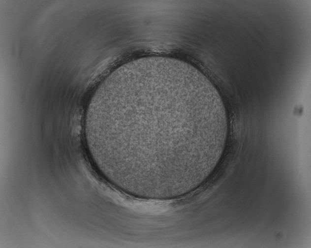 X0000116000032200912101328