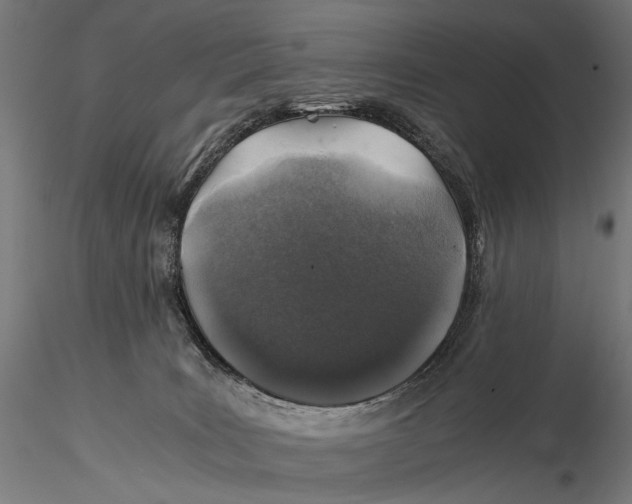 X0000116000035200912101328