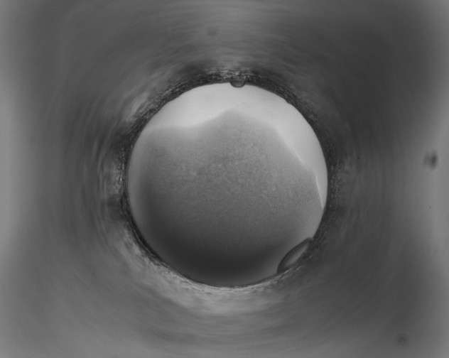X0000116000039200912101328