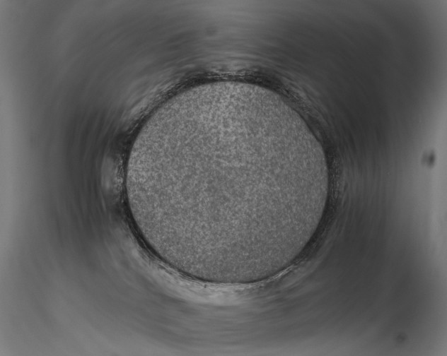 X0000116000040200912101328