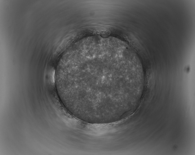 X0000116000041200912101328