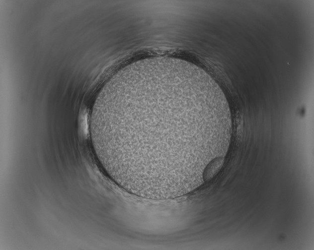 X0000116000042200912101328
