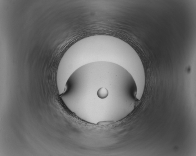 X0000116000043200912101328