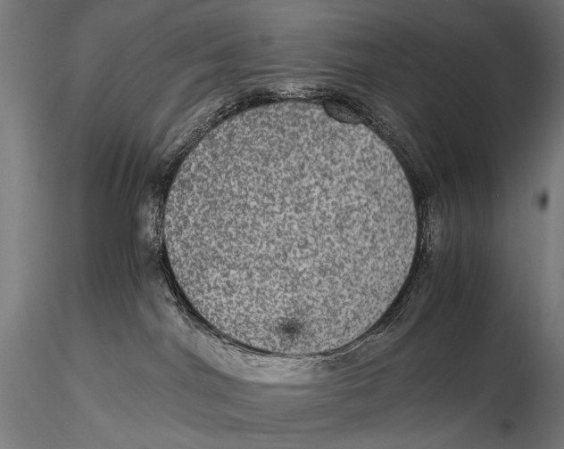 X0000116000044200912101328