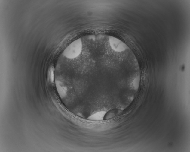 X0000116000046200912101328