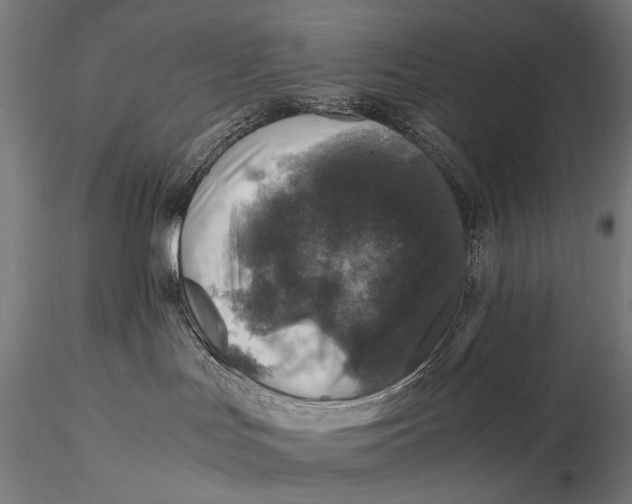 X0000116000047200912101328