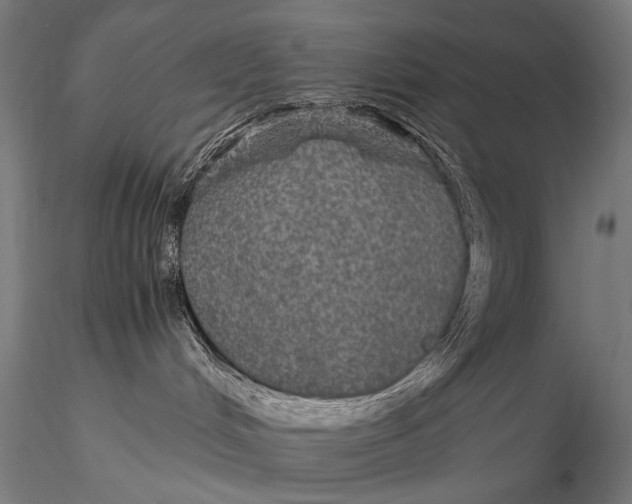 X0000116000048200912101328