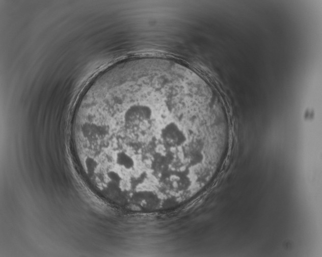 X0000116000049200912101327