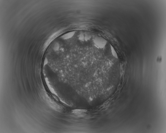 X0000116000051200912101327