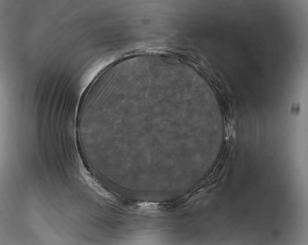 X0000116000052200912101327