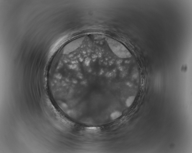 X0000116000053200912101327