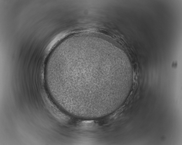 X0000116000054200912101327
