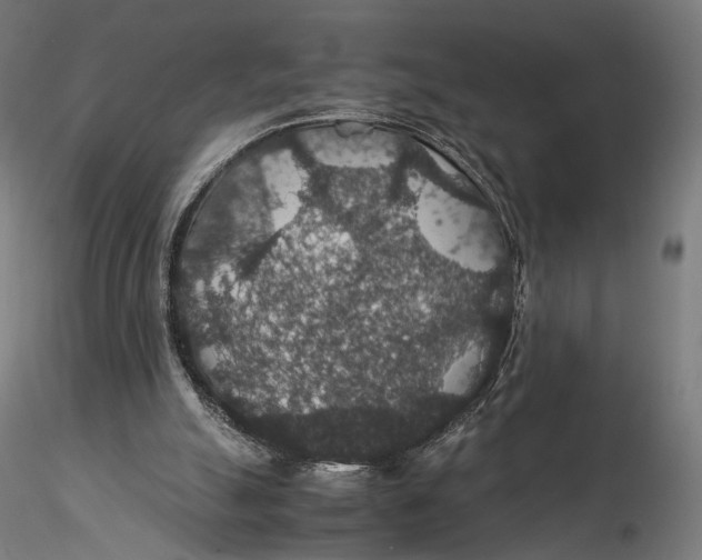 X0000116000055200912101327