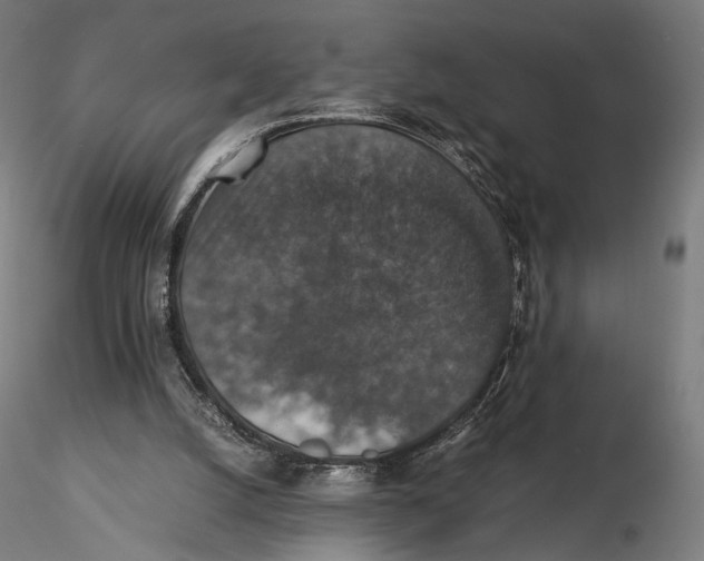 X0000116000056200912101327